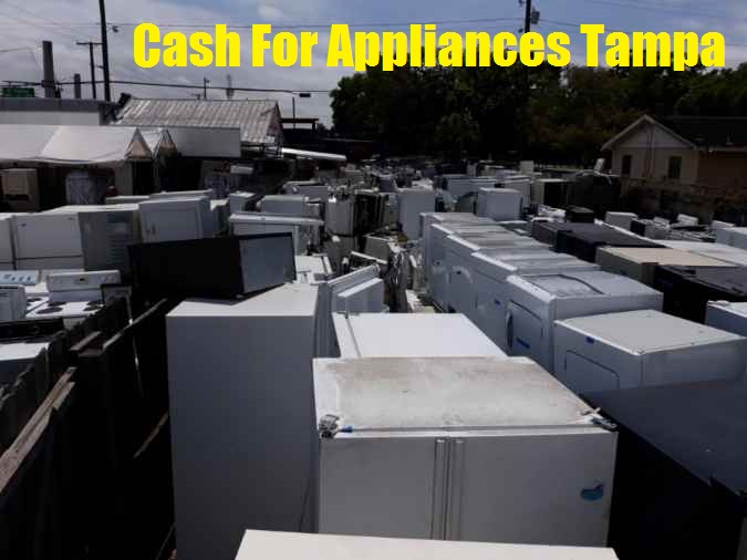 Who buys used appliances in Tampa